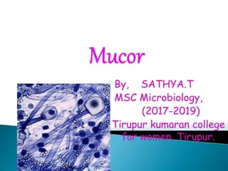 By, SATHYA.T
MSC Microbiology,
(2017-2019)
Tirupur kumaran college
for women, Tirupur.
 