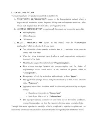 LIFE CYCLE OF MUCOR
There are three types of reproduction methods in its lifecycle:
1. VEGETATIVE REPRODUCTION occurs by the fragmentation method, where a
vegetative cell breaks into several fragments during some unfavourable conditions. After
which, each fragment then develops into a new vegetative body.
2. ASEXUAL REPRODUCTION occurs through the asexual and non-motile spores like:
 Sporangiospores
 Chlamydospores
 Oidiospores
3. SEXUAL REPRODUCTION occurs by the method refer to “Gametangial
conjugation” which involve the following steps:
 First, the thallus of two opposite strains i.e. One is (+) and other is (-), comes in
contact with each other.
 When they come in contact, there develops a small outgrowth or protuberance
from both of the thalli.
 After that, the outgrowth swells to form “Progametangium”.
 Then septum develops between the progametangium and the fusion of
progametangia occurs which results in the formation of gametes refers to
“Coenogametes”.
 Then gametes of both the strains fuse with each other to form “Zygote”.
 The zygote then enlarges in size and get surrounded by a thick-walled structure
called “Zygospore”.
 Zygospore is dark black in colour which develops and get covered by two layers
namely:
o Outer layer: Also refers to “Exosporium”
o Inner layer: Also refers to “Endosporium”
 The zygospore remains dormant for some time and on favourable conditions,
promycelium develops out from the zygospore, forming a new vegetative body.
Through these three reproductive methods, a Mucor completes its reproductive phase and can
cause some serial infections or diseases that can affect the ecological system and human health.
 