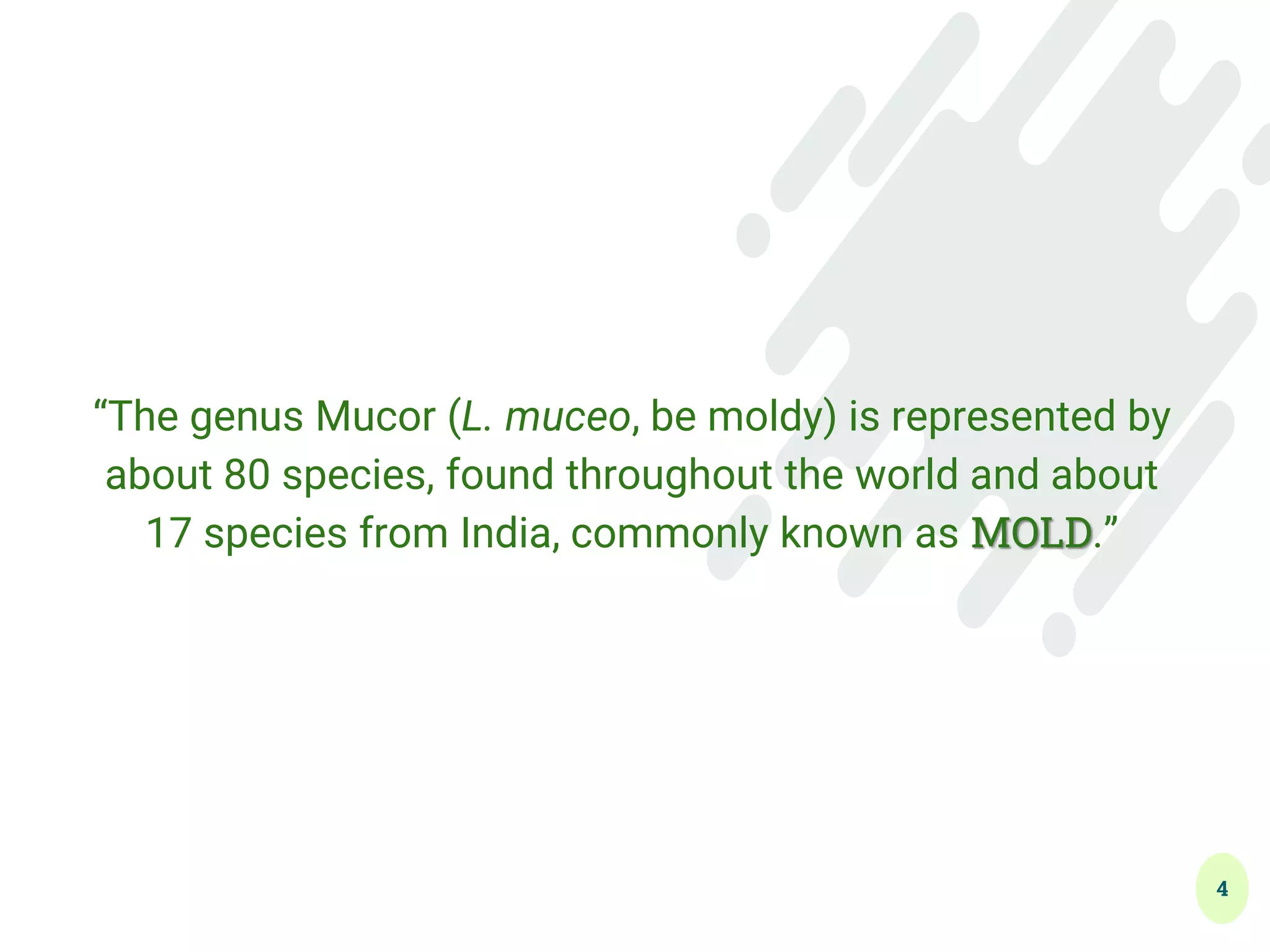 4
“The genus Mucor (L. muceo, be moldy) is represented by
about 80 species, found throughout the world and about
17 species from India, commonly known as MOLD.”
 