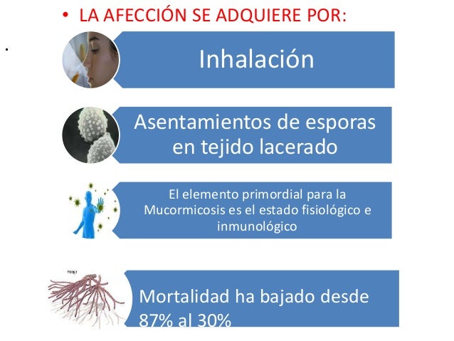 Mucormicosis
