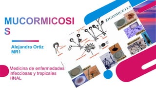 Alejandra Ortiz
MR1
Medicina de enfermedades
infecciosas y tropicales
HNAL
 