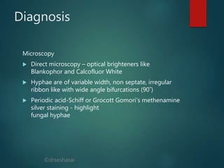©drseshasai
Diagnosis
Microscopy
 Direct microscopy – optical brighteners like
Blankophor and Calcofluor White
 Hyphae are of variable width, non septate, irregular
ribbon like with wide angle bifurcations (90˚)
 Periodic acid-Schiff or Grocott Gomori’s methenamine
silver staining - highlight
fungal hyphae
 