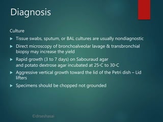 ©drseshasai
Diagnosis
Culture
 Tissue swabs, sputum, or BAL cultures are usually nondiagnostic
 Direct microscopy of bronchoalveolar lavage & transbronchial
biopsy may increase the yield
 Rapid growth (3 to 7 days) on Sabouraud agar
and potato dextrose agar incubated at 25◦C to 30◦C
 Aggressive vertical growth toward the lid of the Petri dish – Lid
lifters
 Specimens should be chopped not grounded
 