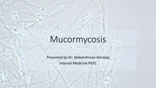 Mucormycosis
Presented by Dr: Abdulrahman Almalaq
Internal Medicine PGY1
 