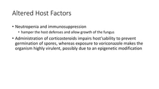 Altered Host Factors
• Neutropenia and immunosuppression
• hamper the host defenses and allow growth of the fungus
• Administration of corticosteroids impairs host’sability to prevent
germination of spores, whereas exposure to voriconazole makes the
organism highly virulent, possibly due to an epigenetic modification
 