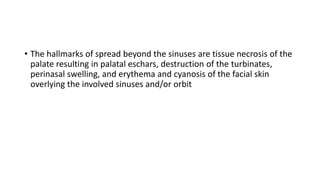 • The hallmarks of spread beyond the sinuses are tissue necrosis of the
palate resulting in palatal eschars, destruction of the turbinates,
perinasal swelling, and erythema and cyanosis of the facial skin
overlying the involved sinuses and/or orbit
 