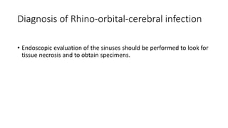 Diagnosis of Rhino-orbital-cerebral infection
• Endoscopic evaluation of the sinuses should be performed to look for
tissue necrosis and to obtain specimens.
 