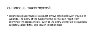 cutaneous mucormycosis
• cutaneous mucormycosis is almost always associated with trauma or
wounds. The entry of the fungi into the dermis can result from
seemingly innocuous insults, such as the entry site for an intravenous
catheter, spider bites, and insulin injection sites
 