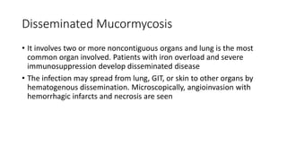 Disseminated Mucormycosis
• It involves two or more noncontiguous organs and lung is the most
common organ involved. Patients with iron overload and severe
immunosuppression develop disseminated disease
• The infection may spread from lung, GIT, or skin to other organs by
hematogenous dissemination. Microscopically, angioinvasion with
hemorrhagic infarcts and necrosis are seen
 
