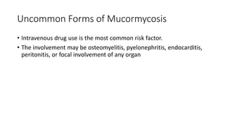 Uncommon Forms of Mucormycosis
• Intravenous drug use is the most common risk factor.
• The involvement may be osteomyelitis, pyelonephritis, endocarditis,
peritonitis, or focal involvement of any organ
 