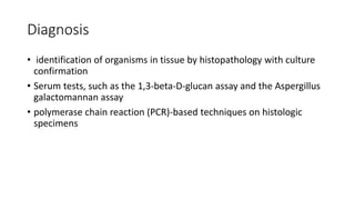 Diagnosis
• identification of organisms in tissue by histopathology with culture
confirmation
• Serum tests, such as the 1,3-beta-D-glucan assay and the Aspergillus
galactomannan assay
• polymerase chain reaction (PCR)-based techniques on histologic
specimens
 