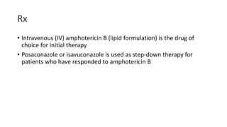 Rx
• Intravenous (IV) amphotericin B (lipid formulation) is the drug of
choice for initial therapy
• Posaconazole or isavuconazole is used as step-down therapy for
patients who have responded to amphotericin B
 