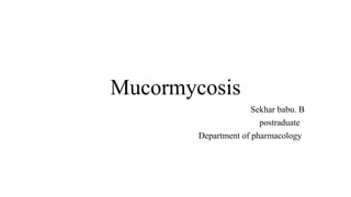 Mucormycosis
Sekhar babu. B
postraduate
Department of pharmacology
 