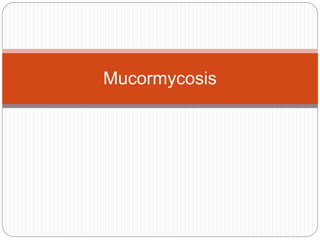 Mucormycosis
 