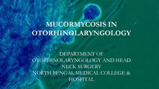 MUCORMYCOSIS IN
OTORHINOLARYNGOLOGY
DEPARTMENT OF
OTORHINOLARYNGOLOGY AND HEAD
NECK SURGERY
NORTH BENGAL MEDICAL COLLEGE &
HOSPITAL
 