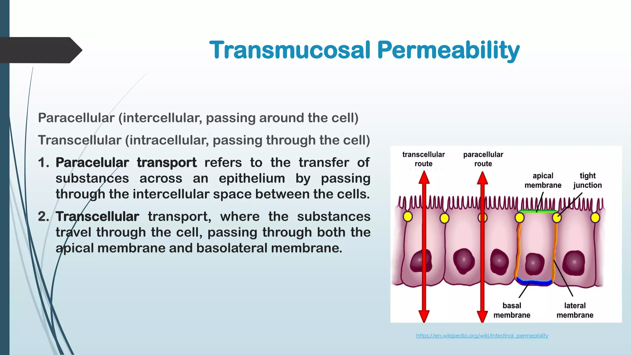 Transmucosal Permeability
Paracellular (intercellular, passing around the cell)
Transcellular (intracellular, passing through the cell)
1. Paracelular transport refers to the transfer of
substances across an epithelium by passing
through the intercellular space between the cells.
2. Transcellular transport, where the substances
travel through the cell, passing through both the
apical membrane and basolateral membrane.
https://en.wikipedia.org/wiki/Intestinal_permeability
 