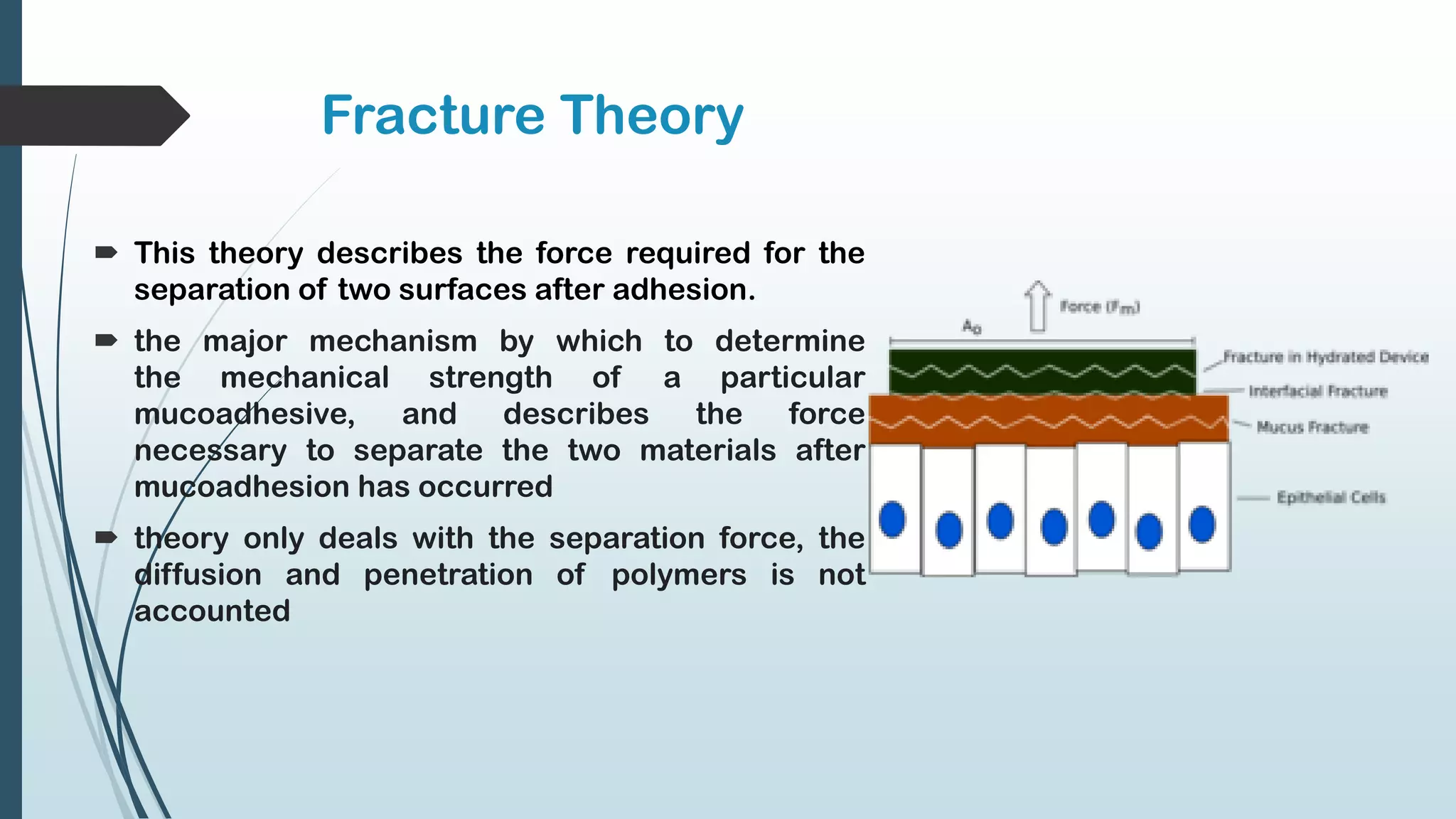 Fracture Theory
 This theory describes the force required for the
separation of two surfaces after adhesion.
 the major mechanism by which to determine
the mechanical strength of a particular
mucoadhesive, and describes the force
necessary to separate the two materials after
mucoadhesion has occurred
 theory only deals with the separation force, the
diffusion and penetration of polymers is not
accounted
 