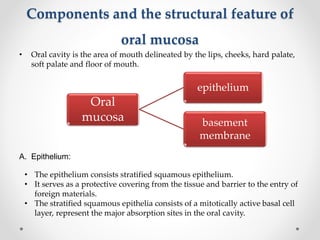 Components and the structural feature of
oral mucosa
• Oral cavity is the area of mouth delineated by the lips, cheeks, hard palate,
soft palate and floor of mouth.
A. Epithelium:
Oral
mucosa
epithelium
basement
membrane
• The epithelium consists stratified squamous epithelium.
• It serves as a protective covering from the tissue and barrier to the entry of
foreign materials.
• The stratified squamous epithelia consists of a mitotically active basal cell
layer, represent the major absorption sites in the oral cavity.
 