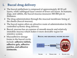 i. Buccal drug delivery
 The buccal epithelium is composed of approximately 40-50 cell
layers, while sublingual layer consist of fewer cell layers. In humans,
dogs, and rabbits, the buccal mucosa measures 500-800 pm in
thickness.
 The drug administration through the mucosal membrane lining of
the cheeks (buccal mucosa).
 The buccal region offers an attractive route of administration for the
controlled systemic drug delivery.
 Buccal ,mucosa has an expanse of smooth muscle and relatively
immobile mucosa which makes it more desirable region for
retentive system.
 Mucoadhesive dosage
forms in the buccal cavity
include :adhesive tablets,
adhesive gels, adhesive
patches, and adhesive
ointments.
 