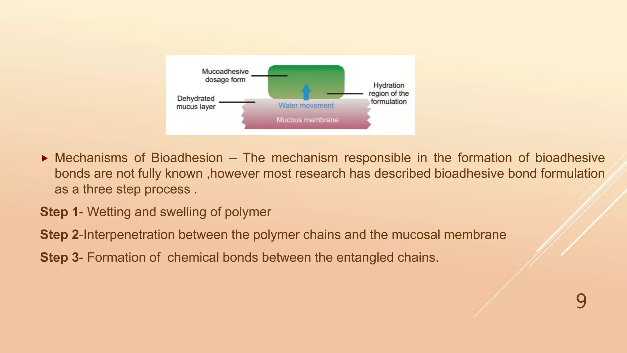  Mechanisms of Bioadhesion – The mechanism responsible in the formation of bioadhesive
bonds are not fully known ,however most research has described bioadhesive bond formulation
as a three step process .
Step 1- Wetting and swelling of polymer
Step 2-Interpenetration between the polymer chains and the mucosal membrane
Step 3- Formation of chemical bonds between the entangled chains.
9
 