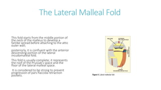 mucosal folds.pptx