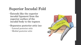 Mucosal folds of middle ear.pptx.......ydsdjtsthbjjsw4gjjj | PPTX