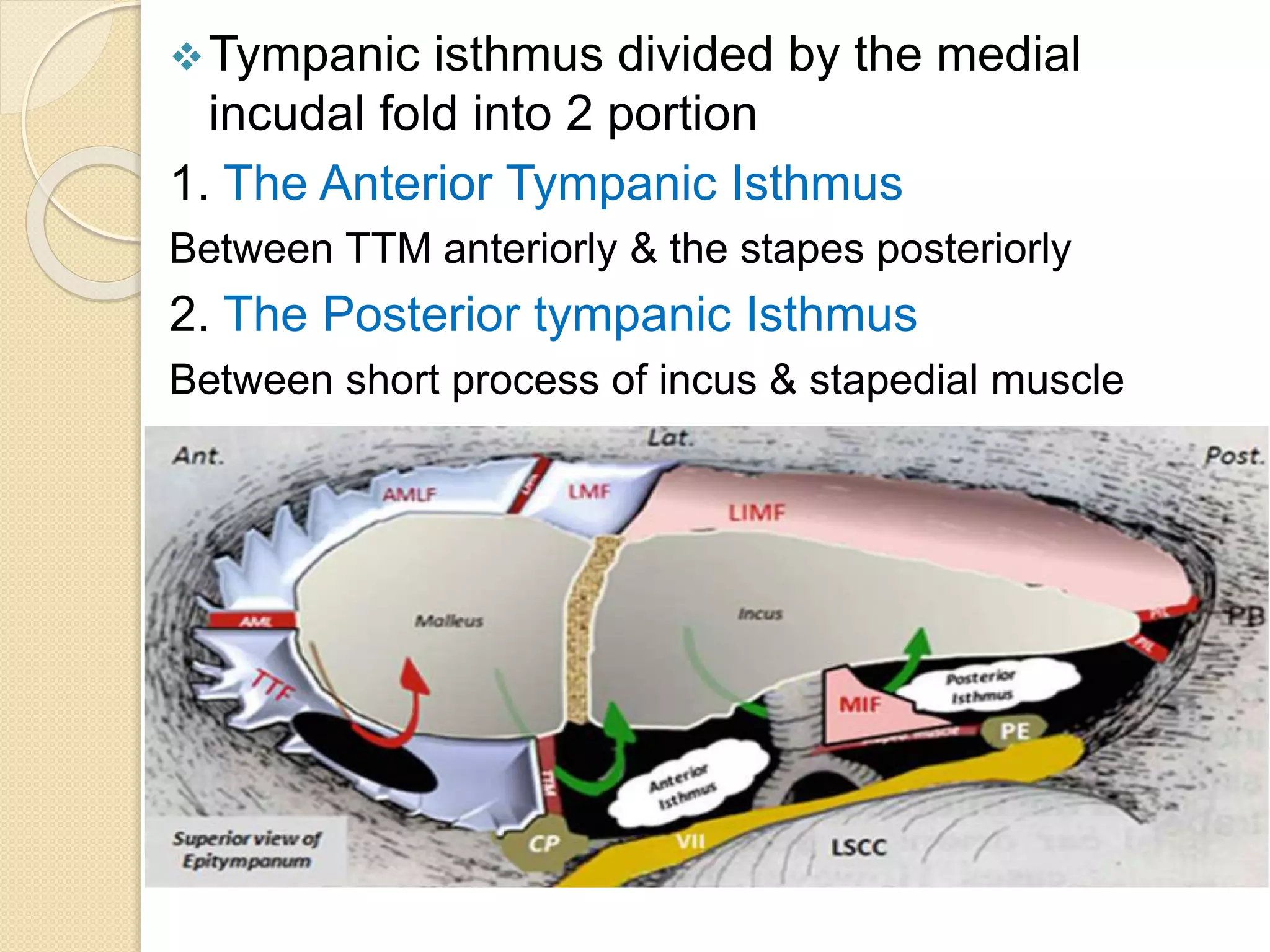 Mucosal folds of the middle ear | PPTX
