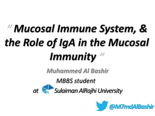 “ Mucosal Immune System, &
the Role of IgA in the Mucosal
Immunity ”
Muhammed Al Bashir
MBBS student
at SulaimanAlRajhiUniversity
@M7mdAlBashir
 