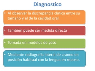 Diagnostico
• Al observar la discrepancia clínica entre su
tamaño y el de la cavidad oral.
• También puede ser medida directa
• Tomada en modelos de yeso
• Mediante radiografía lateral de cráneo en
posición habitual con la lengua en reposo.

 