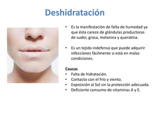Deshidratación
• Es la manifestación de falta de humedad ya
que ésta carece de glándulas productoras
de sudor, grasa, melanina y queratina.
• Es un tejido indefenso que puede adquirir
infecciones fácilmente si está en malas
condiciones.
Causas
• Falta de hidratación.
• Contacto con el frío y viento.
• Exposición al Sol sin la protección adecuada.
• Deficiente consumo de vitaminas A y E.

 