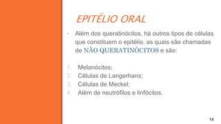 EPITÉLIO ORAL
14
▪ Além dos queratinócitos, há outros tipos de células
que constituem o epitélio, as quais são chamadas
de NÃO QUERATINÓCITOS e são:
1. Melanócitos;
2. Células de Langerhans;
3. Células de Meckel;
4. Além de neutrófilos e linfócitos.
 