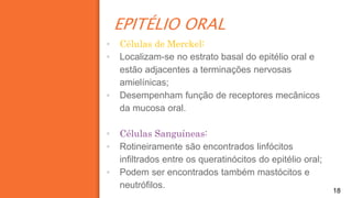 EPITÉLIO ORAL
18
▪ Células de Merckel:
▪ Localizam-se no estrato basal do epitélio oral e
estão adjacentes a terminações nervosas
amielínicas;
▪ Desempenham função de receptores mecânicos
da mucosa oral.
▪ Células Sanguíneas:
▪ Rotineiramente são encontrados linfócitos
infiltrados entre os queratinócitos do epitélio oral;
▪ Podem ser encontrados também mastócitos e
neutrófilos.
 
