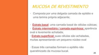 MUCOSA DE REVESTIMENTO
25
▪ Composta por uma delgada camada de epitélio e
uma lamina própria adjacente;
▪ Estrato basal: uma camada basal de células cúbicas;
▪ Estrato intermediário / camada espinhosa: aparência
oval e levemente achatada;
▪ Estrato superficial: suas células são achatadas,
muitas apresentando um pequeno núcleo oval
▪ Essas três camadas formam o epitélio não
queratinizado da mucosa bucal.
 