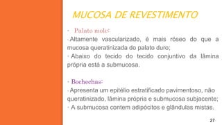 MUCOSA DE REVESTIMENTO
27
▪ Palato mole:
▪ Altamente vascularizado, é mais róseo do que a
mucosa queratinizada do palato duro;
▪ Abaixo do tecido do tecido conjuntivo da lâmina
própria está a submucosa.
▪ Bochechas:
▪ Apresenta um epitélio estratificado pavimentoso, não
queratinizado, lâmina própria e submucosa subjacente;
▪ A submucosa contem adipócitos e glândulas mistas.
 