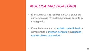 MUCOSA MASTIGATÓRIA
31
▪ É encontrada nas regiões da boca expostas
diretamente ao atrito dos alimentos durante a
mastigação;
▪ Caracteriza-se por um epitélio queratinizado e
compreende a mucosa gengival e a mucosa
que recobre o palato duro.
 