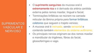 SUPRIMENTOS
VASCULAR E
NERVOSO
▪ O suprimento sanguíneo da mucosa oral é
extremamente rico e é derivado da artéria carótida
externa pelos ramos maxilar, lingual e facial;
▪ Terminações linfáticas se reúnem na camada
reticular da lâmina própria para formar linfáticos
coletores que seguem o trajeto venoso;
▪ A mucosa oral é inervada, sendo sensorial e
contendo também elementos do sistema autônomo;
▪ Os principais nervos originam-se dos ramos maxilar
e mandibular do trigêmeo, fibras do facial,
glossofaríngeo e vago.
44
 