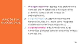 FUNÇÕES DA
MUCOSA ORAL
1. Proteger e recobrir os tecidos mais profundos da
cavidade oral  apreensão e mastigação dos
alimentos; barreira contra invasão de
microrganismos;
2. Função sensorial: existem receptores para
temperatura, tato, dor, assim como receptores
especializados na sensação gustativa;
3. Função secretora: produção de saliva pelas
numerosas glândulas salivares existentes em toda
cavidade oral.
45
 