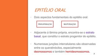 EPITÉLIO ORAL
7
▪ Dois aspectos fundamentais do epitélio oral:
▪ Adjacente à lâmina própria, encontra-se o estrato
basal, que constitui o estrato progenitor do epitélio.
▪ Numerosas junções intercelulares são observadas
entre os queratinócitos, especialmente
desmossomos e também hemidesmossomos.
PROLIFERAÇÃO MATURAÇÃO
 