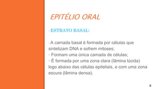 8
▪ ESTRATO BASAL:
▪ A camada basal é formada por células que
sintetizam DNA e sofrem mitoses;
▪ Formam uma única camada de células;
▪ É formada por uma zona clara (lâmina lúcida)
logo abaixo das células epiteliais, e com uma zona
escura (lâmina densa).
EPITÉLIO ORAL
 