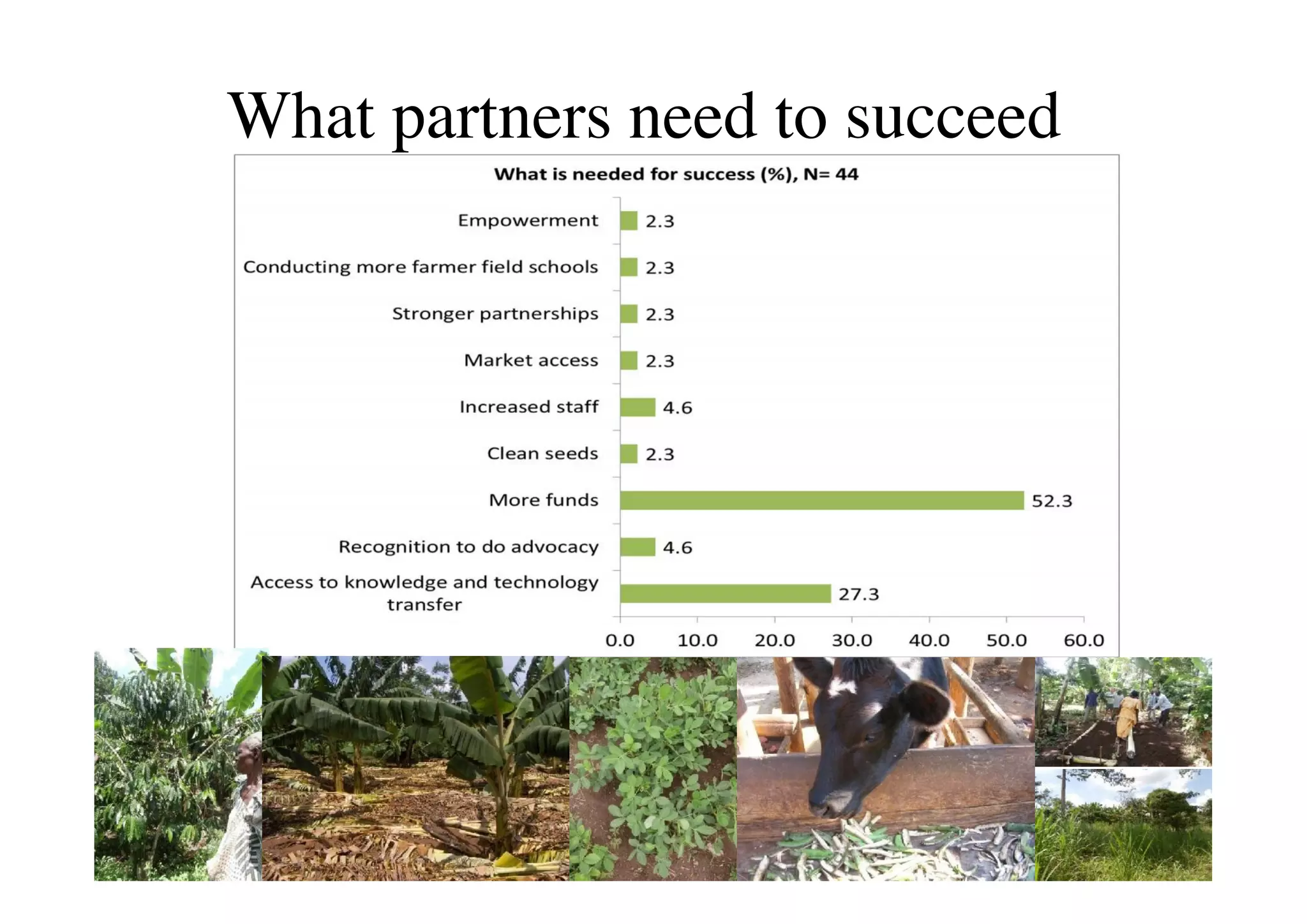 What partners need to succeed