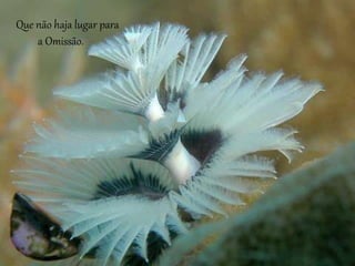 Que não haja lugar para 
a Omissão. 
 