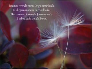 Estamos vivendo numa longa caminhada. 
E chegamos a uma encruzilhada. 
Um rumo será tomado, forçosamente. 
E cabe a cada um deliberar. 
 