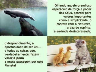 o desprendimento, a oportunidade de ser útil...  e todas as coisas que, verdadeiramente, fazem  valer a pena a nossa passagem por este Planeta!  Olhando aquele grandioso espetáculo de força e poder dos Céus, acordei para valores importantes como a simplicidade, o contato com a Natureza, a paz de espírito, a amizade desinteressada, Straits Times / AFP Getty Images 
