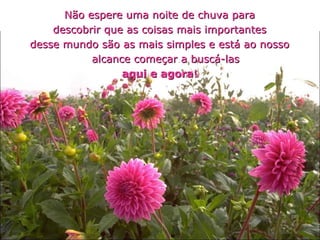 Não espere uma noite de chuva para descobrir que as coisas mais importantes desse mundo são as mais simples e está ao nosso alcance começar a buscá-las aqui e agora ! 
