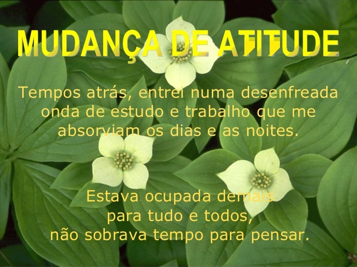 Imagem relacionada