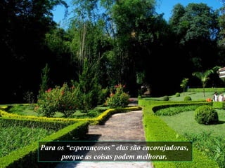 Para os “esperançosos” elas são encorajadoras,  porque as coisas podem melhorar.   