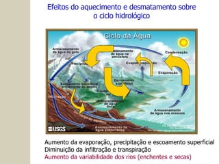 Efeitos do aquecimento e desmatamento sobre o ciclo hidrológico Aumento da evaporação, precipitação e escoamento superficial Diminuição da infiltração e transpiração Aumento da variabilidade dos rios (enchentes e secas) 