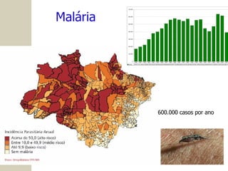 Malária 600.000 casos por ano 