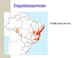 Esquistossomose 50.000 casos por ano 
