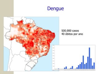 Dengue 500.000 casos 40 óbitos por ano 